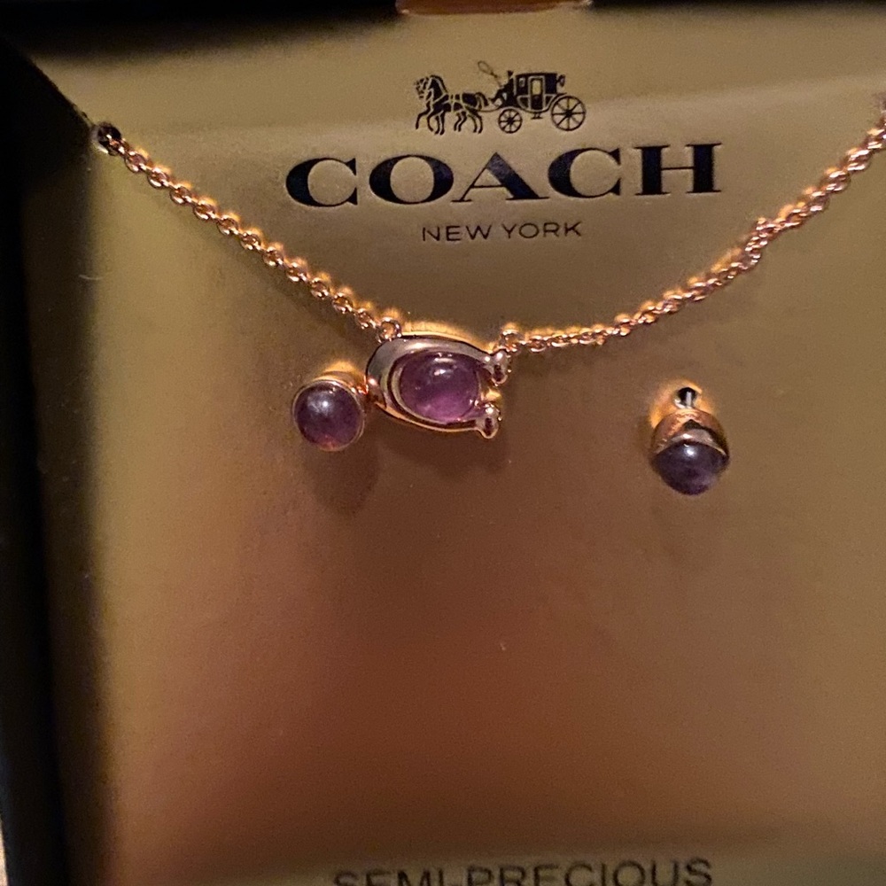 NWT Coach earrings and necklace.